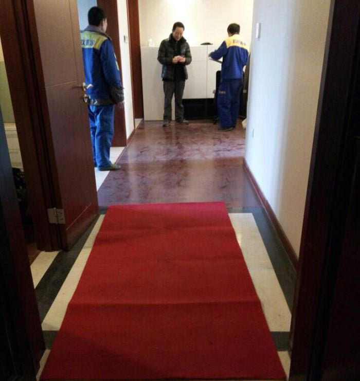 蚂蚁搬家之红毯服务